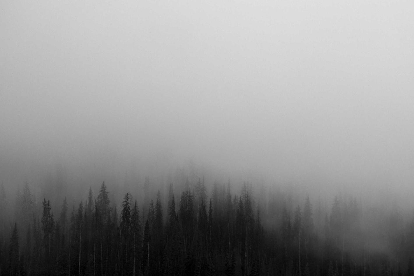 Enim qui rerum nisi quod sed praesentium